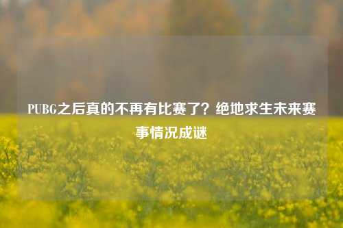 PUBG之后真的不再有比赛了?绝地求生未来赛事情况成谜