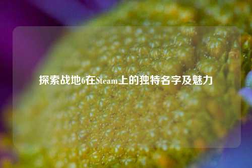 探索战地6在Steam上的独特名字及魅力