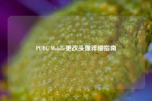 PUBG Mobile更改头像详细指南