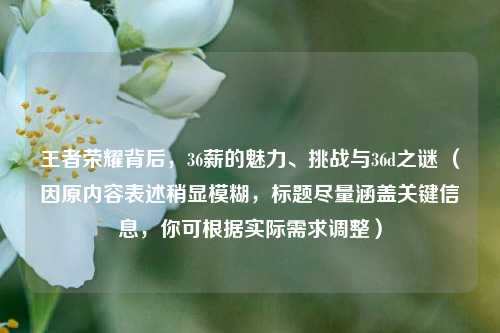 王者荣耀背后，36薪的魅力、挑战与36d之谜 （因原内容表述稍显模糊，标题尽量涵盖关键信息，你可根据实际需求调整）
