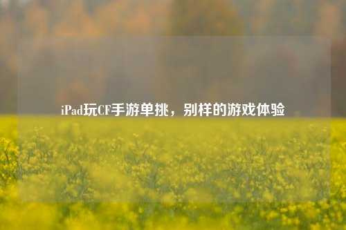 iPad玩CF手游单挑,别样的游戏体验