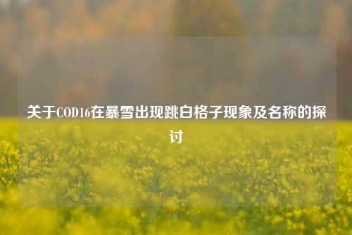 关于COD16在暴雪出现跳白格子现象及名称的探讨