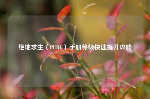 绝地求生(PUBG)手册等级快速提升攻略