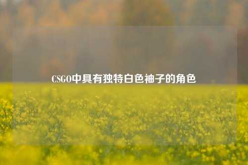 CSGO中具有独特白色袖子的角色