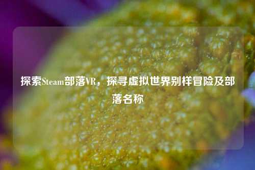 探索Steam部落VR,探寻虚拟世界别样冒险及部落名称