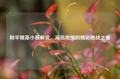 和平精英小薇解说，海岛地图的精彩挑战之旅