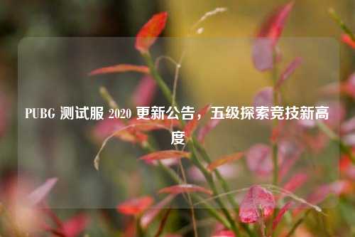 PUBG 测试服 2020 更新公告，五级探索竞技新高度