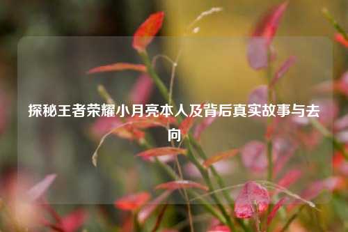 探秘王者荣耀小月亮本人及背后真实故事与去向