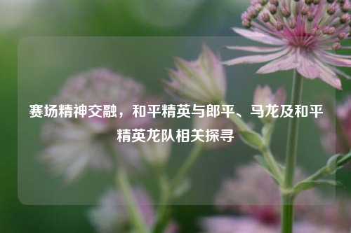赛场精神交融,和平精英与郎平、马龙及和平精英龙队相关探寻