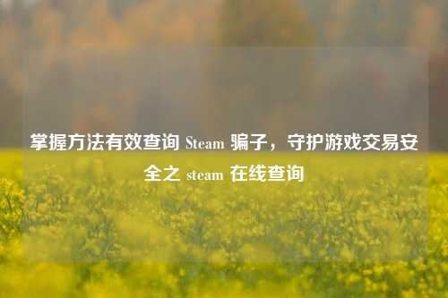 掌握方法有效查询 Steam 骗子,守护游戏交易安全之 steam 在线查询