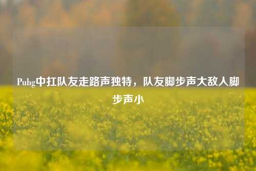Pubg中扛队友走路声独特,队友脚步声大敌人脚步声小