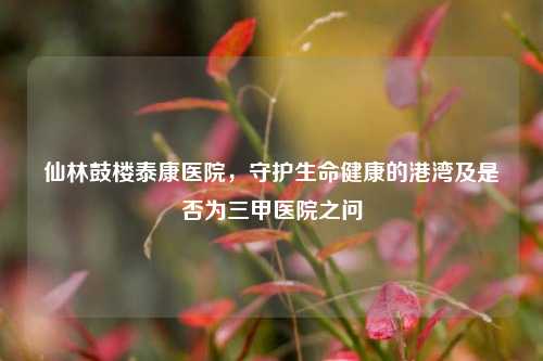 仙林鼓楼泰康医院，守护生命健康的港湾及是否为三甲医院之问