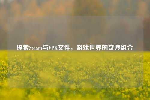探索Steam与VPK文件，游戏世界的奇妙组合