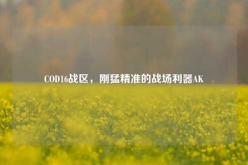 COD16战区，刚猛精准的战场利器AK