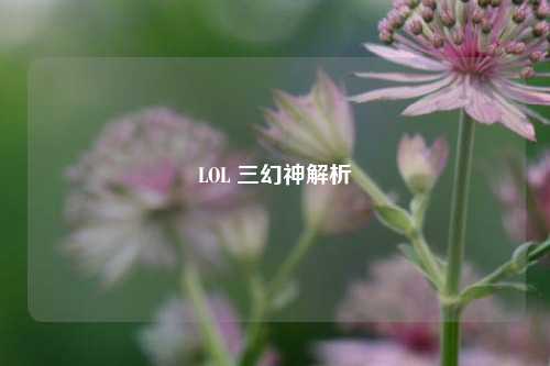LOL 三幻神解析