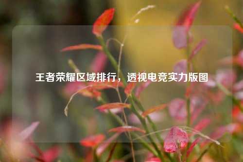 王者荣耀区域排行,透视电竞实力版图