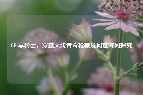 CF 黑骑士，穿越火线传奇枪械及问世时间探究