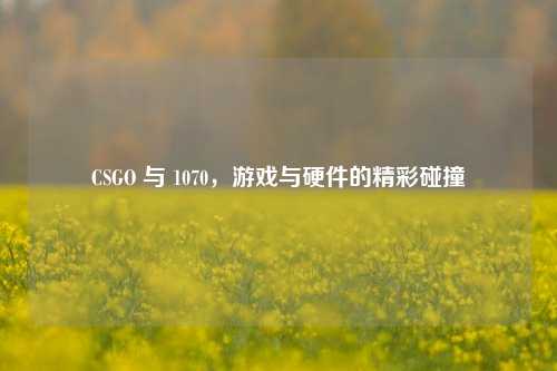 CSGO 与 1070,游戏与硬件的精彩碰撞