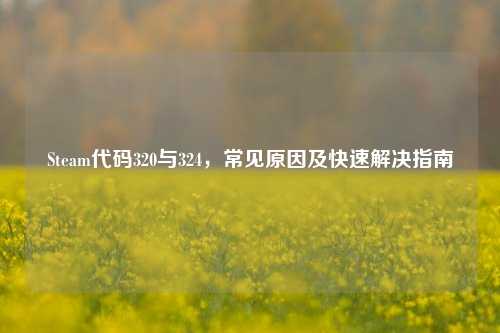 Steam代码320与324,常见原因及快速解决指南