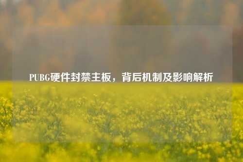 PUBG硬件封禁主板，背后机制及影响解析