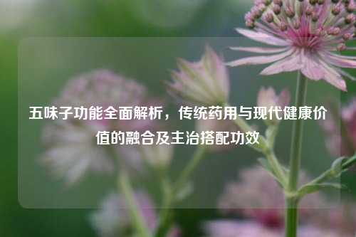 五味子功能全面解析,传统药用与现代健康价值的融合及主治搭配功效