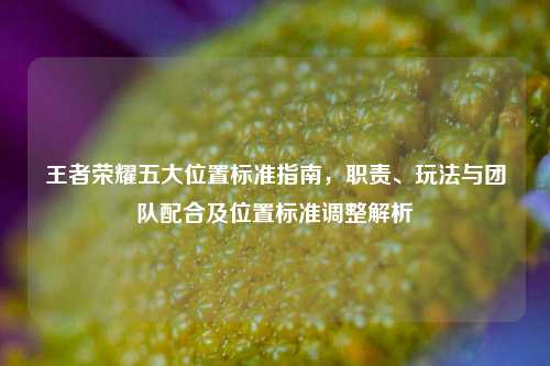 王者荣耀五大位置标准指南,职责、玩法与团队配合及位置标准调整解析