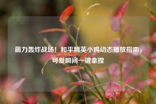 萌力轰炸战场！和平精英小鸡动态播放指南，可爱瞬间一键拿捏
