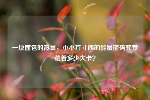 一块面包的热量，小小方寸间的能量密码究竟藏着多少大卡？