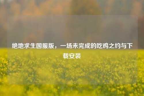 绝地求生国服版,一场未完成的吃鸡之约与下载安装