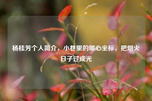 杨桂芳个人简介，小巷里的暖心坐标，把烟火日子过成光