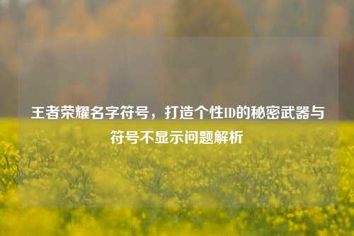 王者荣耀名字符号,打造个性ID的秘密武器与符号不显示问题解析