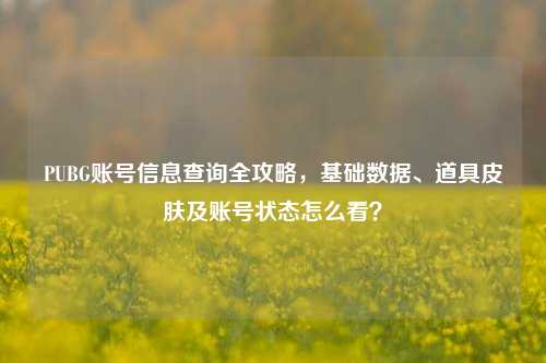 PUBG账号信息查询全攻略,基础数据、道具皮肤及账号状态怎么看?