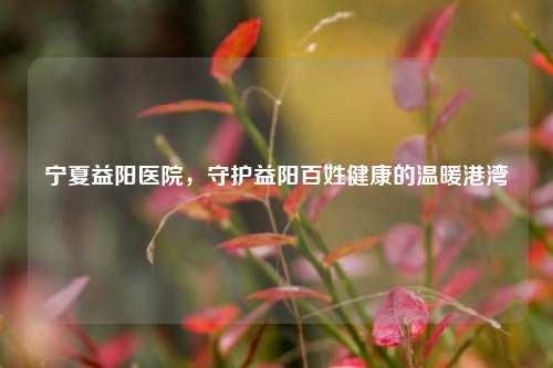 宁夏益阳医院，守护益阳百姓健康的温暖港湾