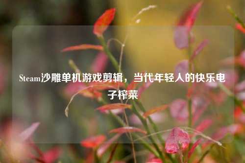 Steam沙雕单机游戏剪辑,当代年轻人的快乐电子榨菜