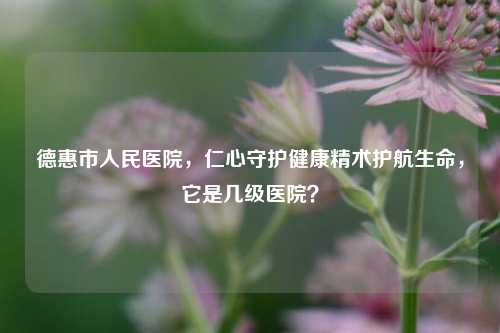 德惠市人民医院,仁心守护健康精术护航生命,它是几级医院?