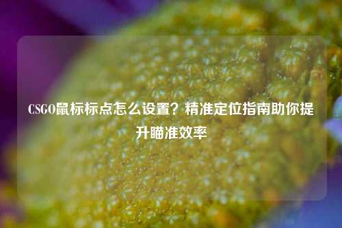 CSGO鼠标标点怎么设置?精准定位指南助你提升瞄准效率