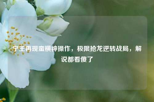宁王再现蛮横神操作,极限抢龙逆转战局,解说都看傻了