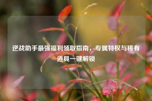 逆战助手最强福利领取指南,专属特权与稀有道具一键解锁