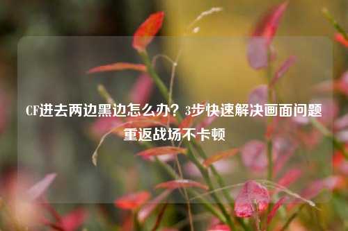CF进去两边黑边怎么办?3步快速解决画面问题重返战场不卡顿