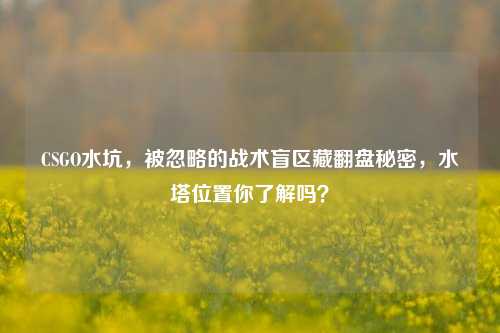CSGO水坑，被忽略的战术盲区藏翻盘秘密，水塔位置你了解吗？