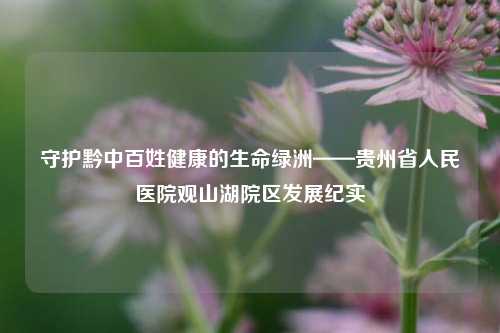 守护黔中百姓健康的生命绿洲——贵州省人民医院观山湖院区发展纪实