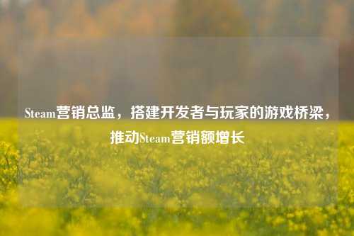 Steam营销总监,搭建开发者与玩家的游戏桥梁,推动Steam营销额增长