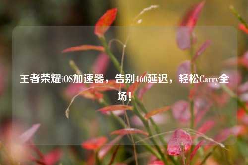 王者荣耀iOS加速器，告别460延迟，轻松Carry全场！