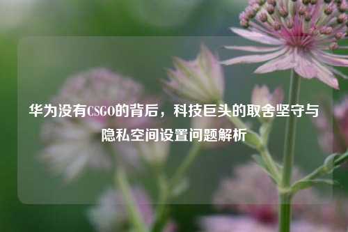 华为没有CSGO的背后,科技巨头的取舍坚守与隐私空间设置问题解析