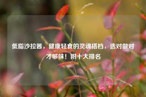 低脂沙拉酱,健康轻食的灵魂搭档,选对做对才够味!附十大排名