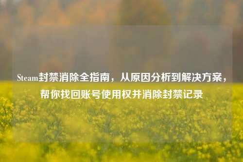 Steam封禁消除全指南,从原因分析到解决方案,帮你找回账号使用权并消除封禁记录