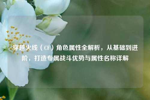 穿越火线（CF）角色属性全解析，从基础到进阶，打造专属战斗优势与属性名称详解
