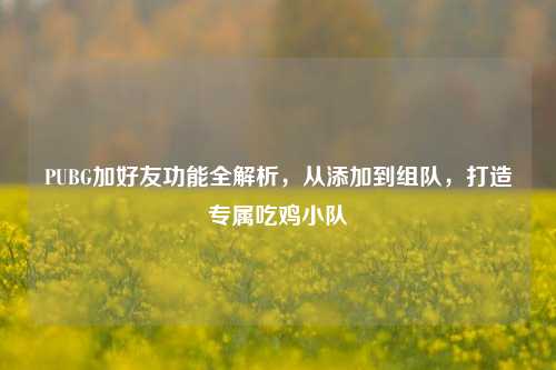 PUBG加好友功能全解析,从添加到组队,打造专属吃鸡小队