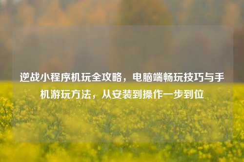 逆战小程序机玩全攻略，电脑端畅玩技巧与手机游玩方法，从安装到操作一步到位