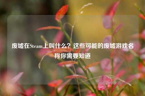 废墟在Steam上叫什么？这些可能的废墟游戏名称你需要知道